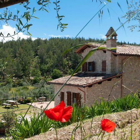 Agriturismo Molino Verde Montecchio  Extérieur photo