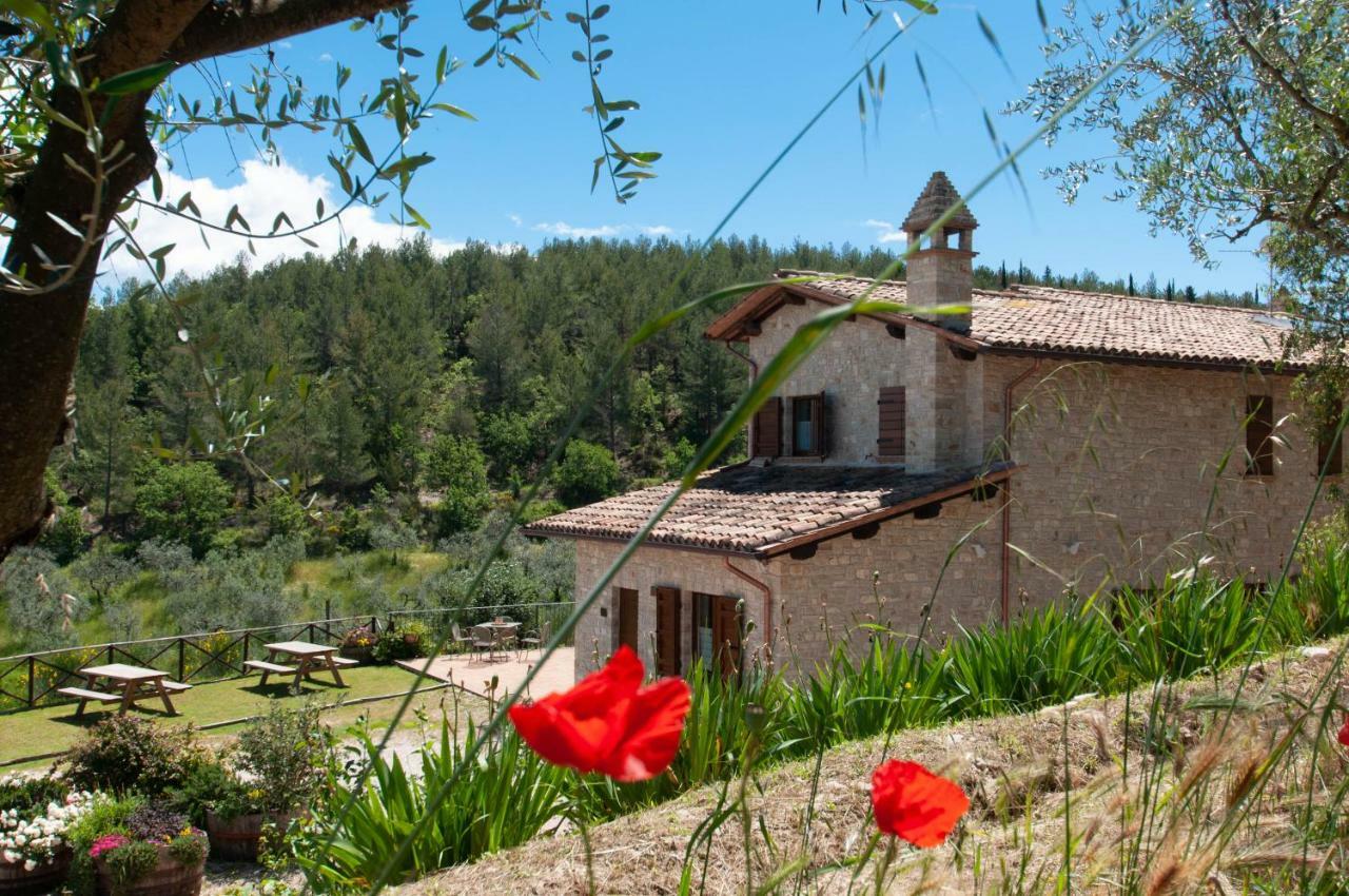 Agriturismo Molino Verde Montecchio  Extérieur photo