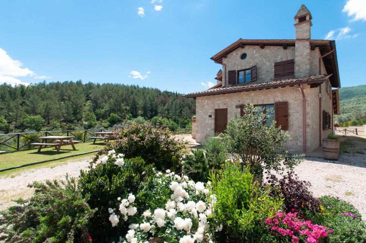 Agriturismo Molino Verde Montecchio  Extérieur photo